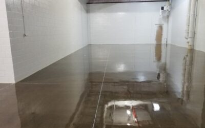 Why Should You Seal Your Commercial Floors?